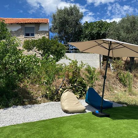Willa Casa De Pedra Em Vinha No Dao Nelas Zewnętrze zdjęcie